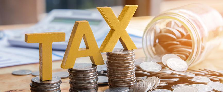 Income Tax Return